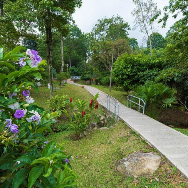 Sede-recreacional-floridablanca-gal-comfenalco-santander (4)